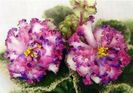 IMG-20170501-WA0358