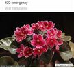 IMG-20170501-WA0356