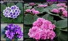 IMG-20170501-WA0355