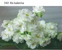 IMG-20170501-WA0348