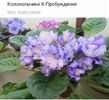 IMG-20170501-WA0345
