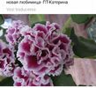 IMG-20170501-WA0343