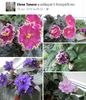 IMG-20170501-WA0341