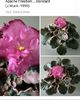 IMG-20170501-WA0332
