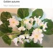 IMG-20170501-WA0322