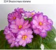 IMG-20170501-WA0260