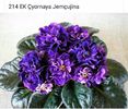 IMG-20170501-WA0256