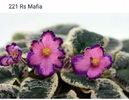 IMG-20170501-WA0255