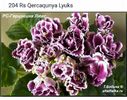 IMG-20170501-WA0219