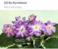 IMG-20170501-WA0210