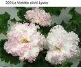 IMG-20170501-WA0208