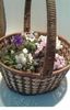 IMG-20170501-WA0206