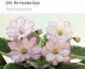 IMG-20170501-WA0205