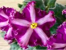 IMG-20170501-WA0087