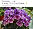 IMG-20170501-WA0184