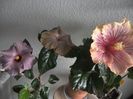 WIN_20170502_080500