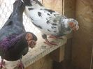 SAM_4867