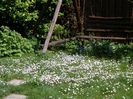 6 mai (6)