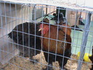 DSC00266