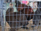 DSC00268