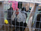 DSC00269