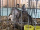 DSC00282