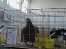 DSC00286