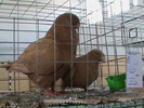 DSC00287