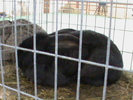 DSC00288