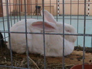 DSC00289