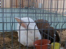 DSC00291