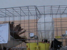DSC00292