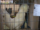 DSC00300