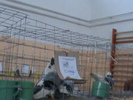 DSC00304