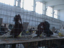 DSC00305