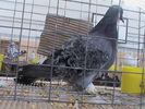 DSC00308