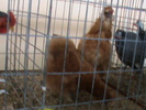 DSC00315