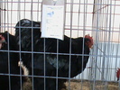 DSC00316