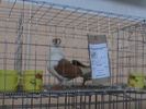 DSC00317