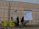 DSC00319