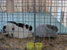 DSC00324