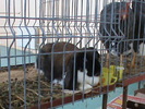 DSC00325