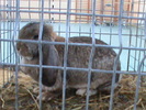 DSC00326