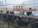 DSC00328