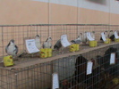 DSC00330