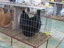 DSC00332