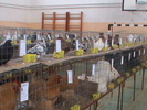 DSC00337