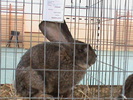 DSC00339