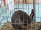 DSC00341