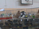 DSC00344